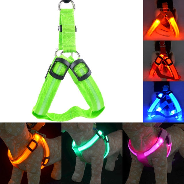 Rechargeable LED Nylon Pet Dog Cat Harness Led Flashing Light Harness Collar Pet Safety Led Leash Rope Belt Dog Accessories